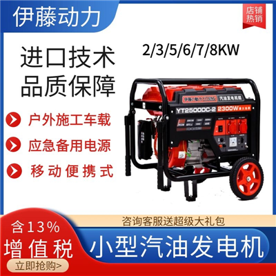 2KW手啟動(dòng)汽油發(fā)電機(jī)YT2500DC-2